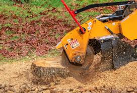 How Our Tree Care Process Works  in  Vicksburg, MS